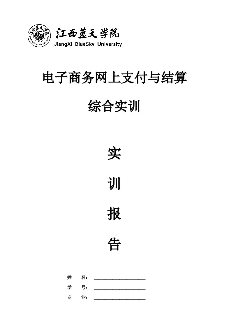 电子商务网上支付综合实训总结报告