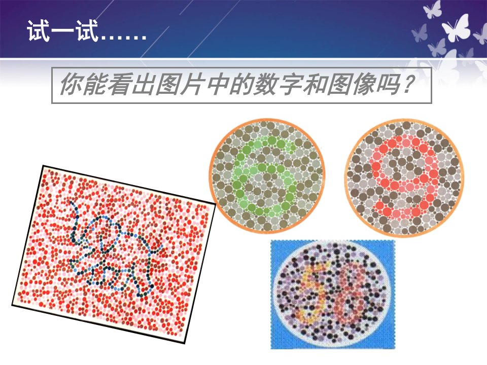 人教版高三生物课件伴性遗传