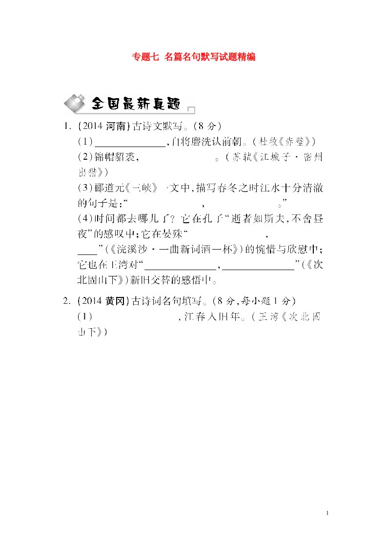 中考语文满分特训方案