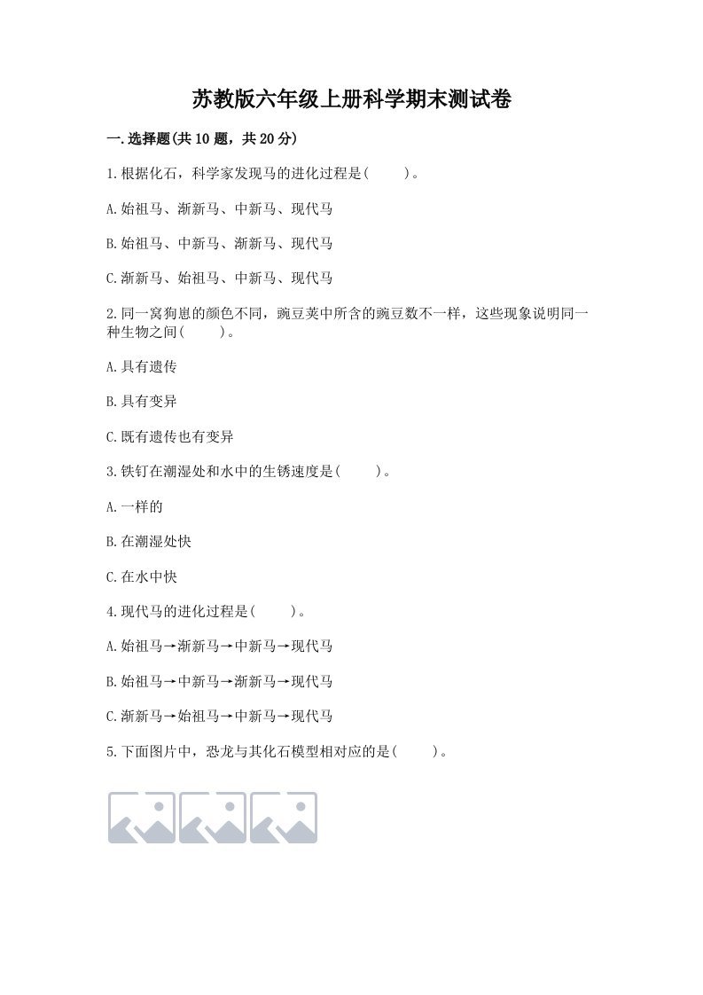 苏教版六年级上册科学期末测试卷精品（各地真题）