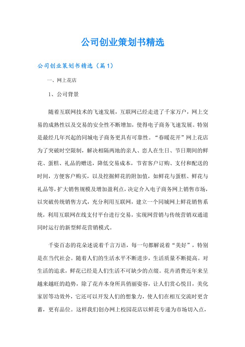 公司创业策划书精选