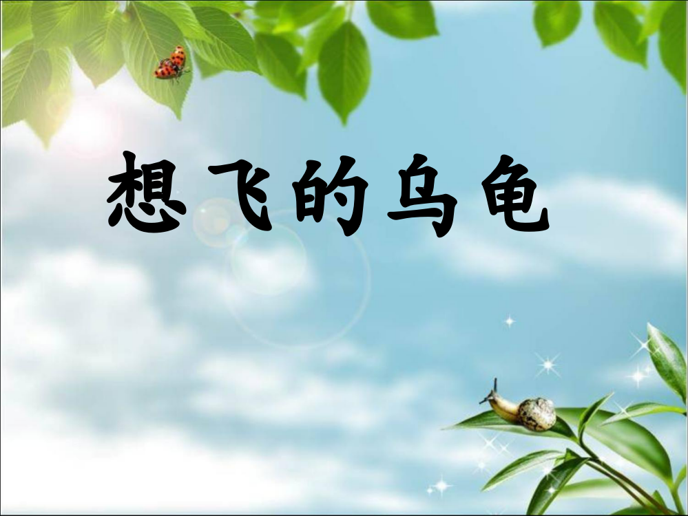 《想飞的乌龟》课件4