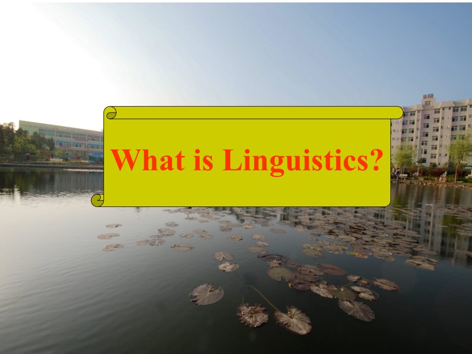 语言学linguistic-课件（PPT-精）