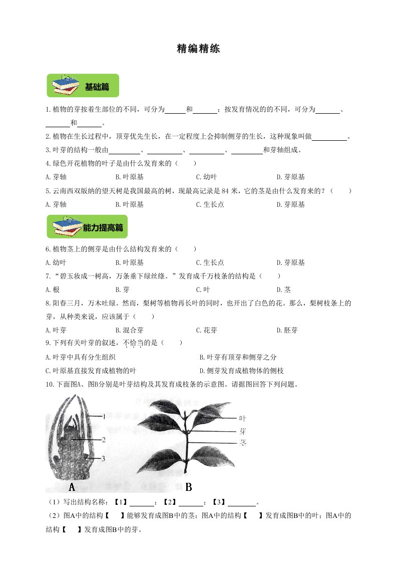 八年级上册生物3.1.3《芽的发育》同步练习（含答案）