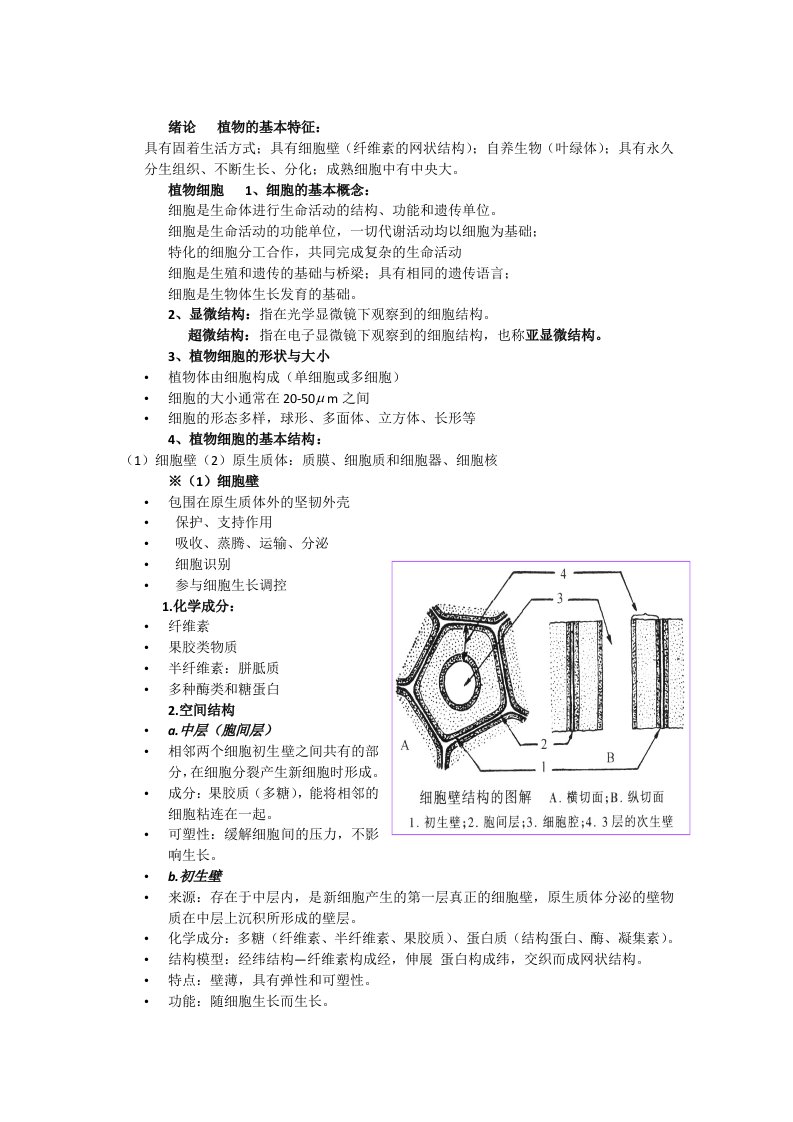 植物学复习资料