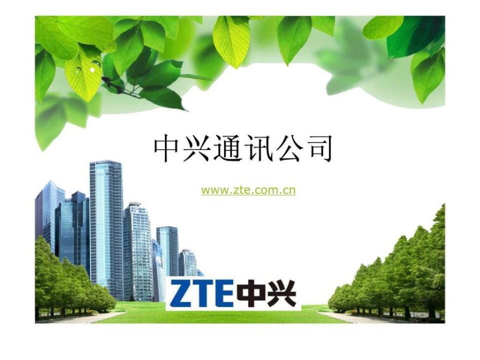 中兴通讯公司.ppt