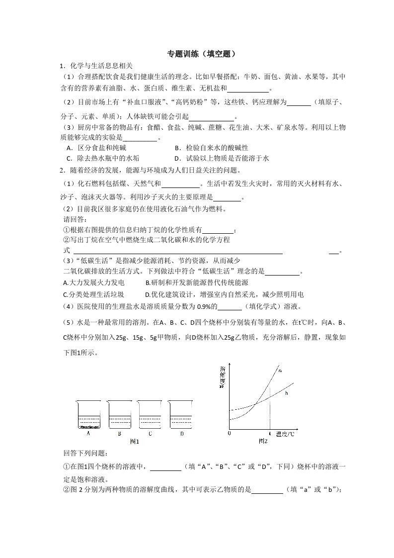 中考化学专题训练填空题