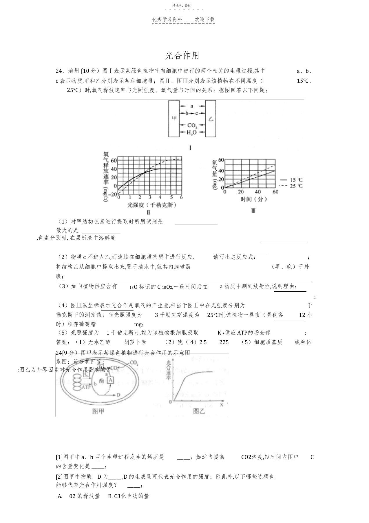 2022年山东高三一模生物试题选光合作用