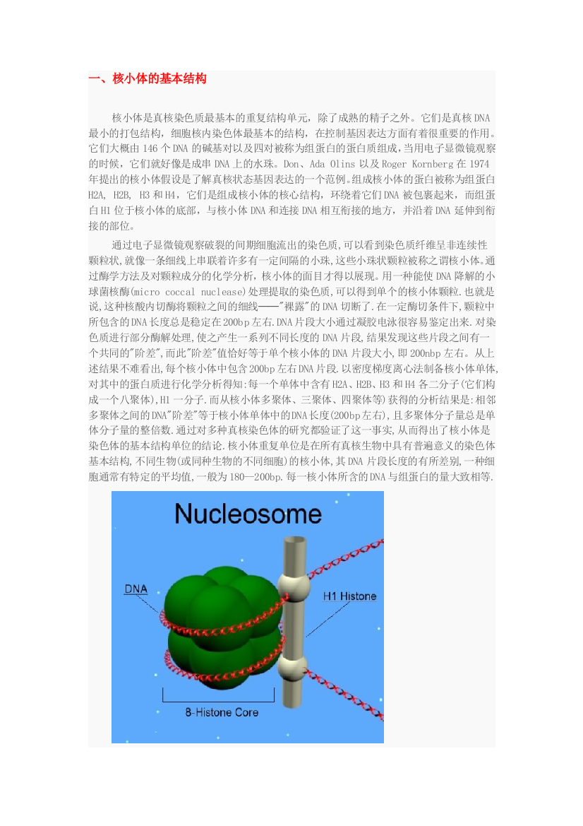 核小体结构