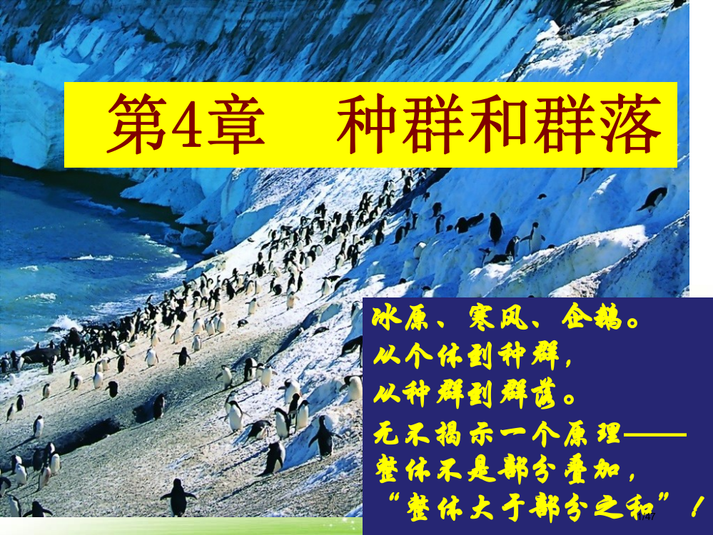 《种群的特征》参考省公开课金奖全国赛课一等奖微课获奖PPT课件