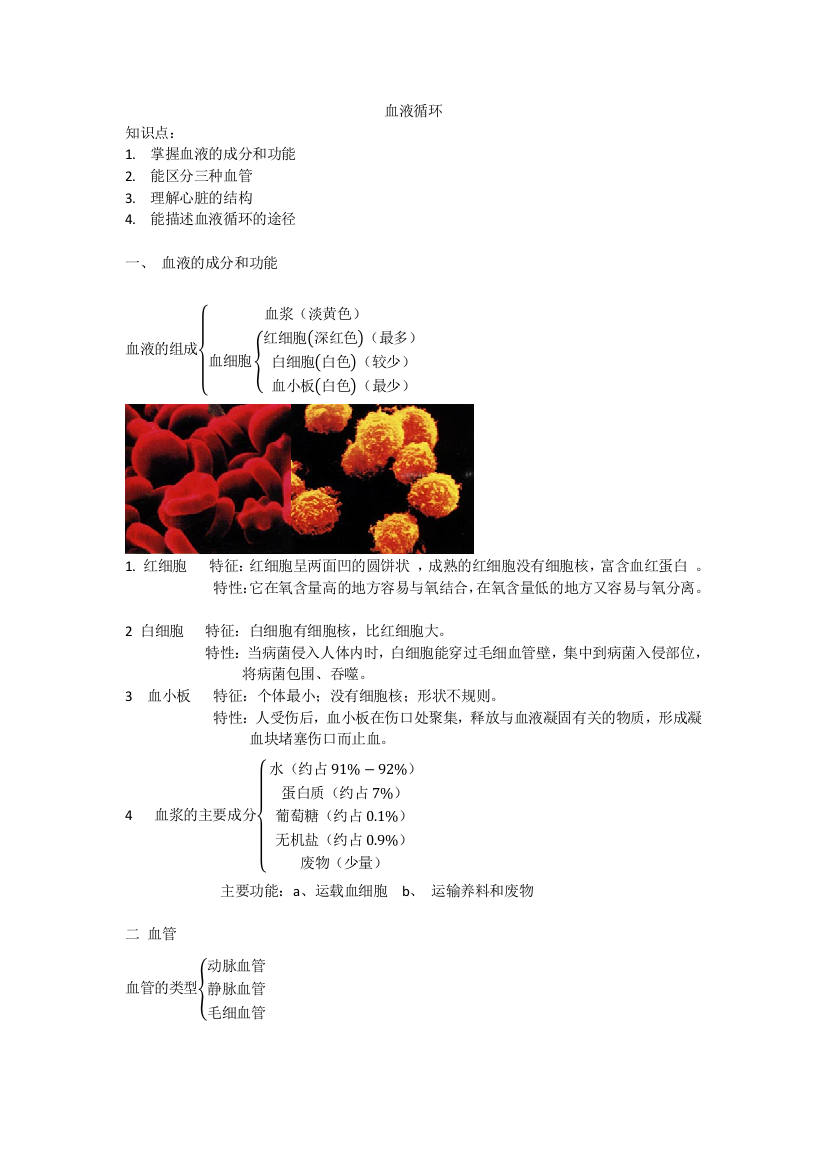 血液循环生物知识点