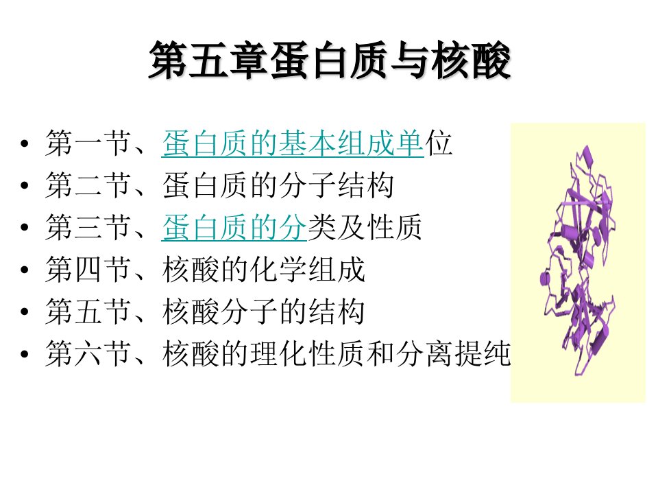 张忠版食品生物化学第5章蛋白质与核酸1ppt课件