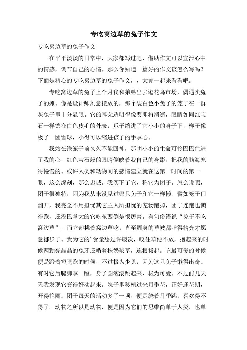 专吃窝边草的兔子作文