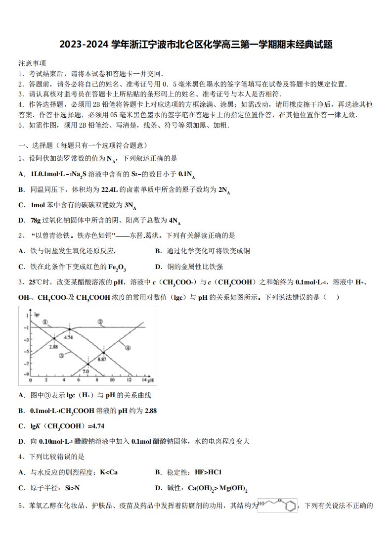 2023-2024学年浙江宁波市北仑区化学高三第一学期期末经典试题含解析