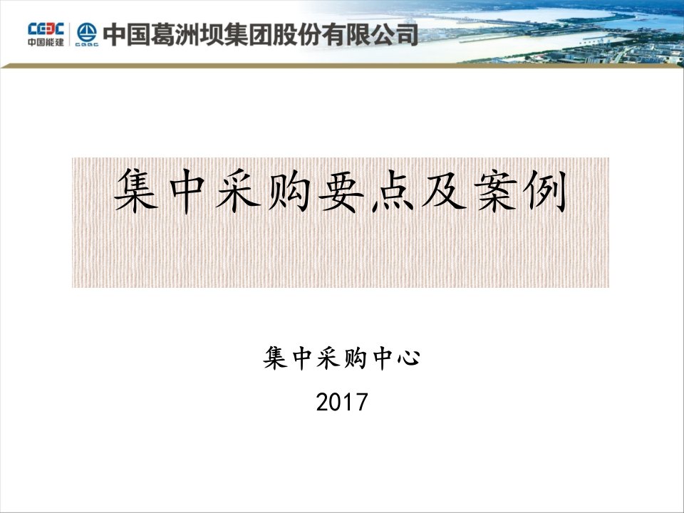 集中采购要点及案例解析