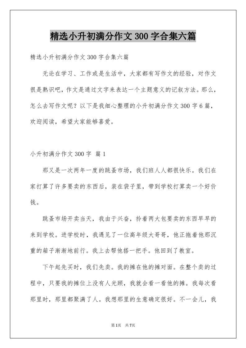 小升初满分作文300字合集六篇