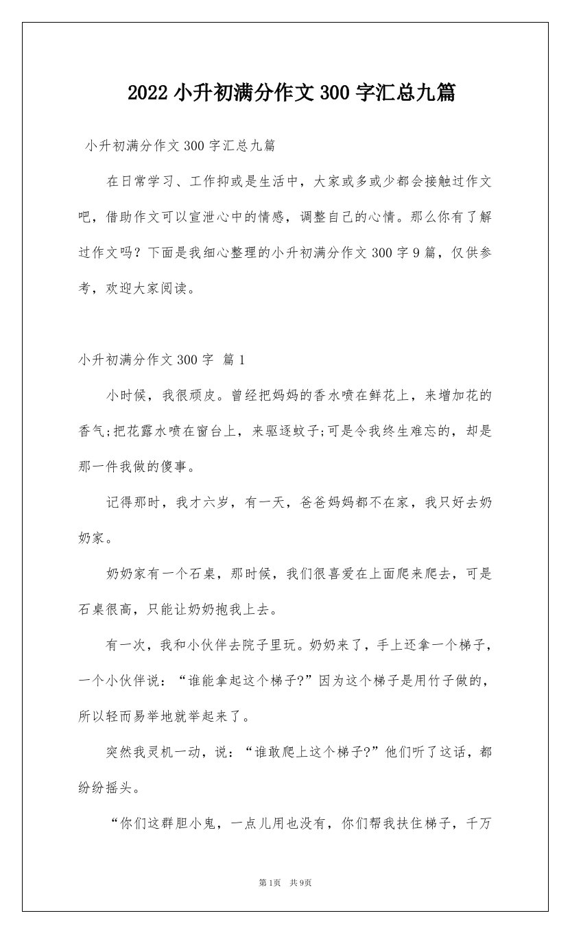 2022小升初满分作文300字汇总九篇