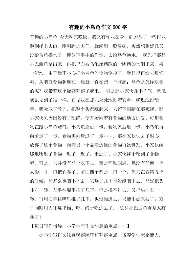 有趣的小乌龟作文500字