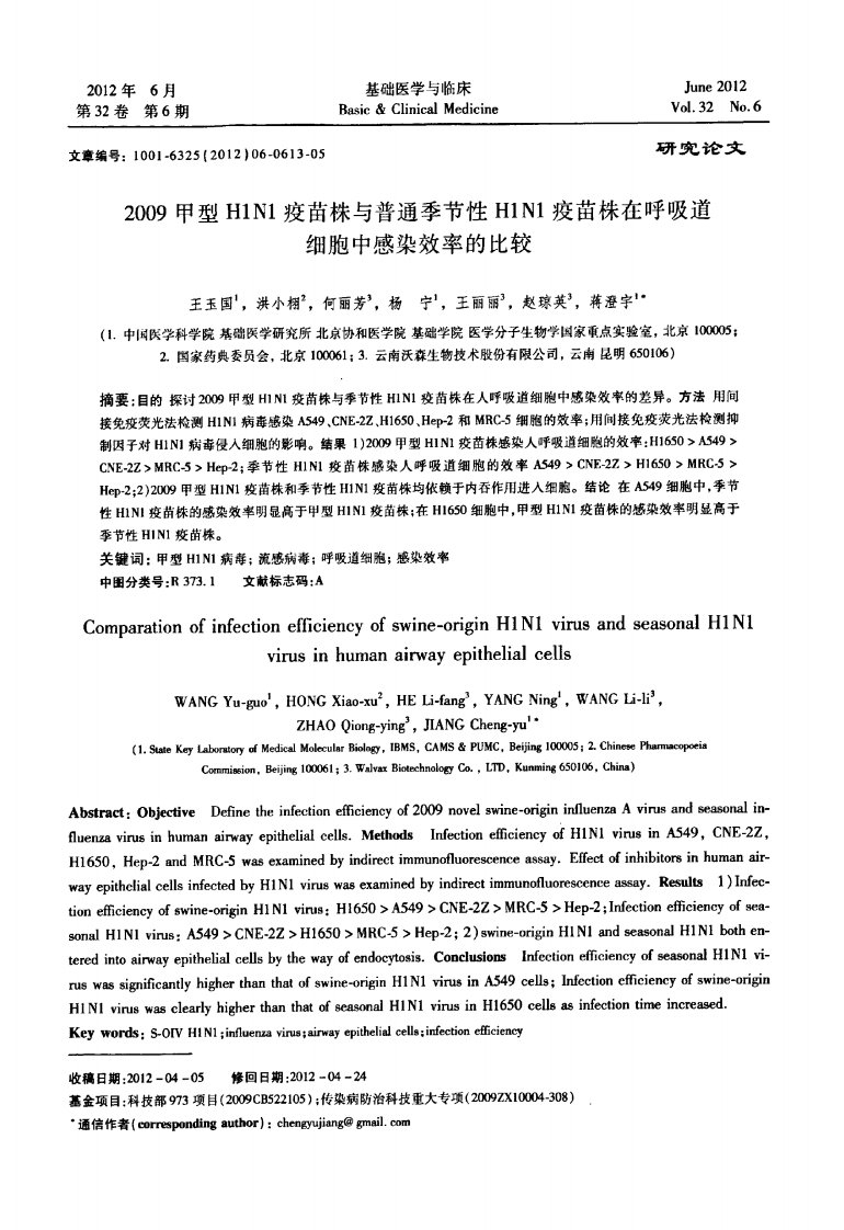 2009甲型H1N1疫苗株与普通季节性H1N1疫苗株在呼吸道细胞中感染效率的比较