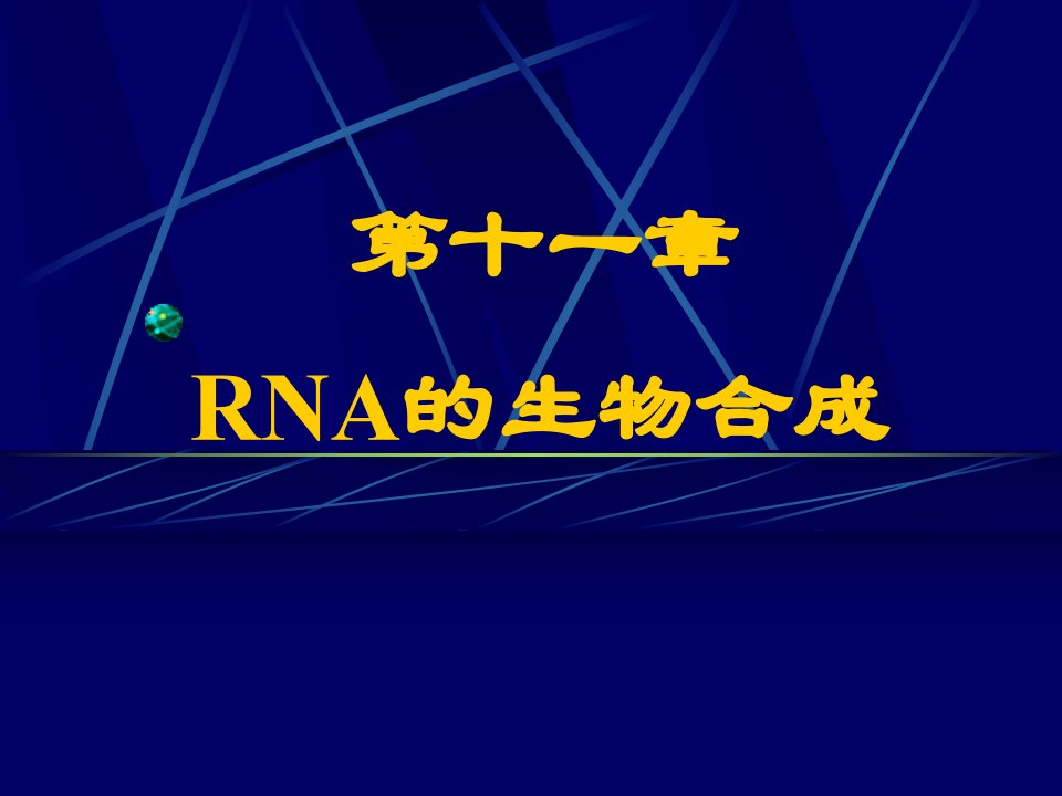 11RNA的生物合成