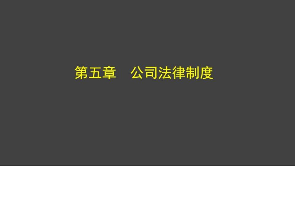 公司法_计算机软件及应用_IT计算机_专业资料