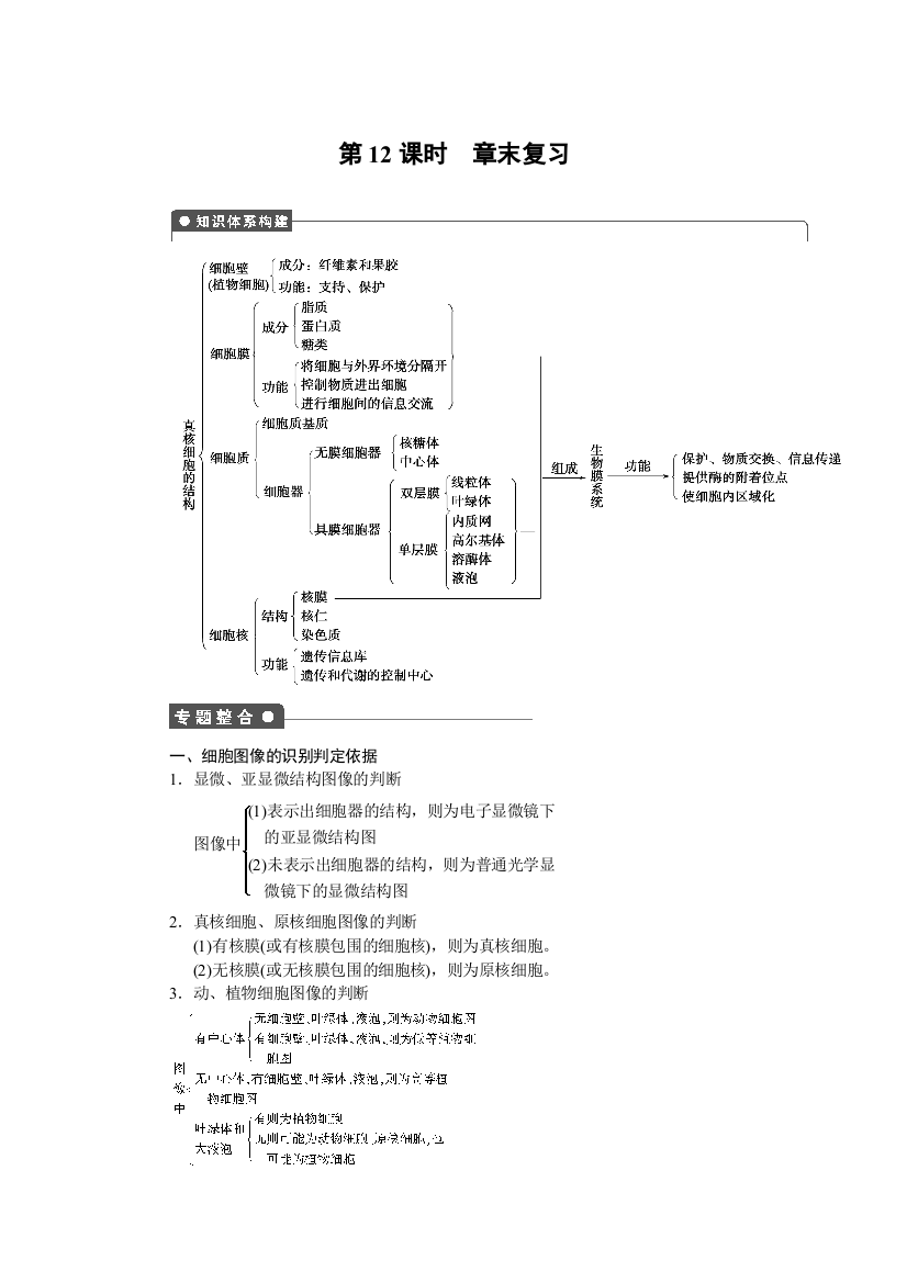 2016生物人教版必修1：第三章