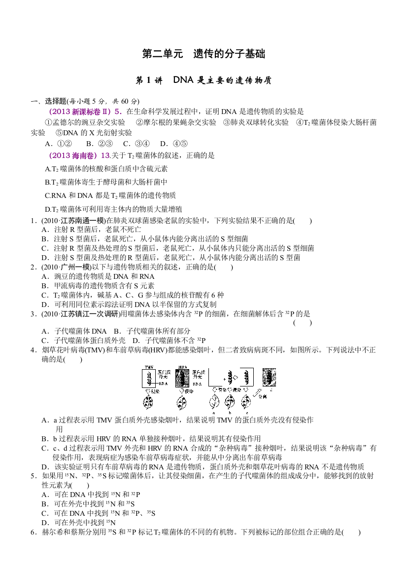 遗传的分子基础学生