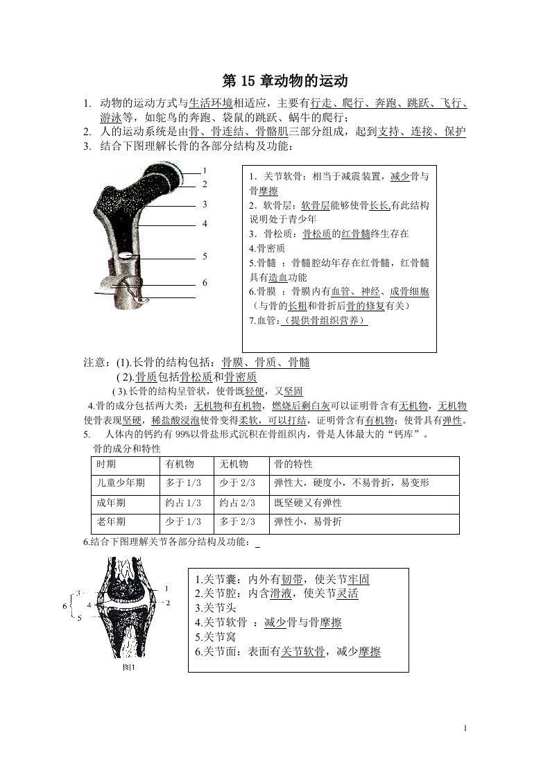 北师大版八上生物期中复习提纲