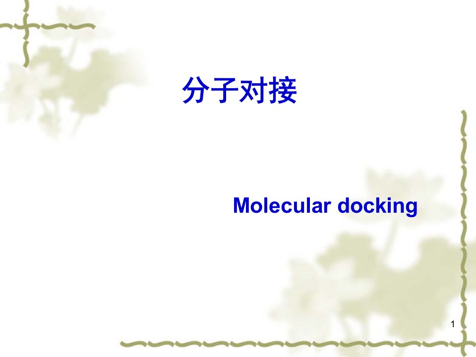 《分子对接方法》PPT课件