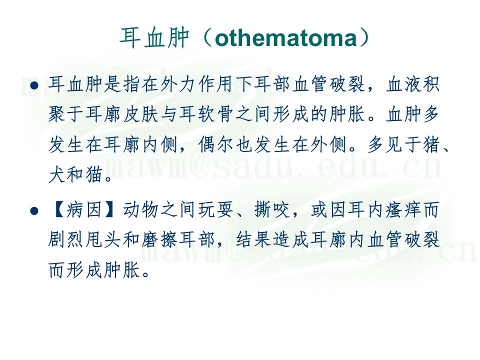 动物头部疾病文档资料