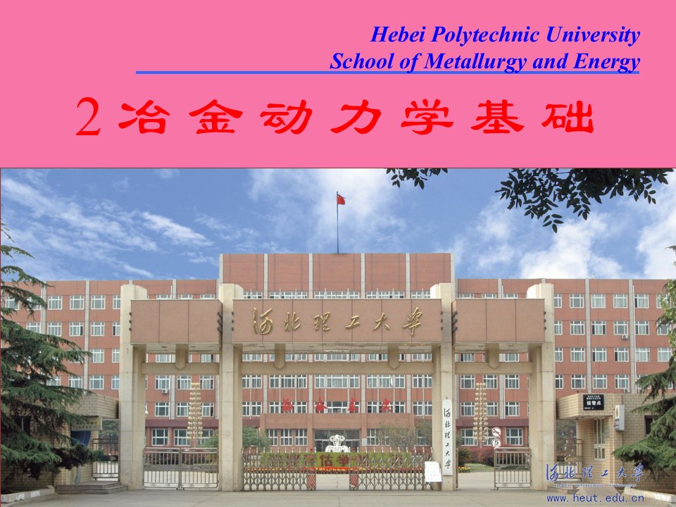 冶金动力学基础ppt课件