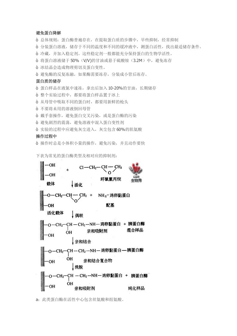 蛋白提取操作时注意事项