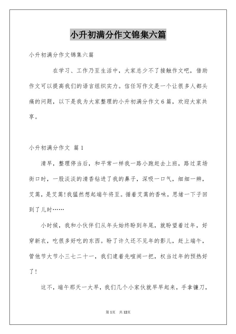 小升初满分作文锦集六篇精选