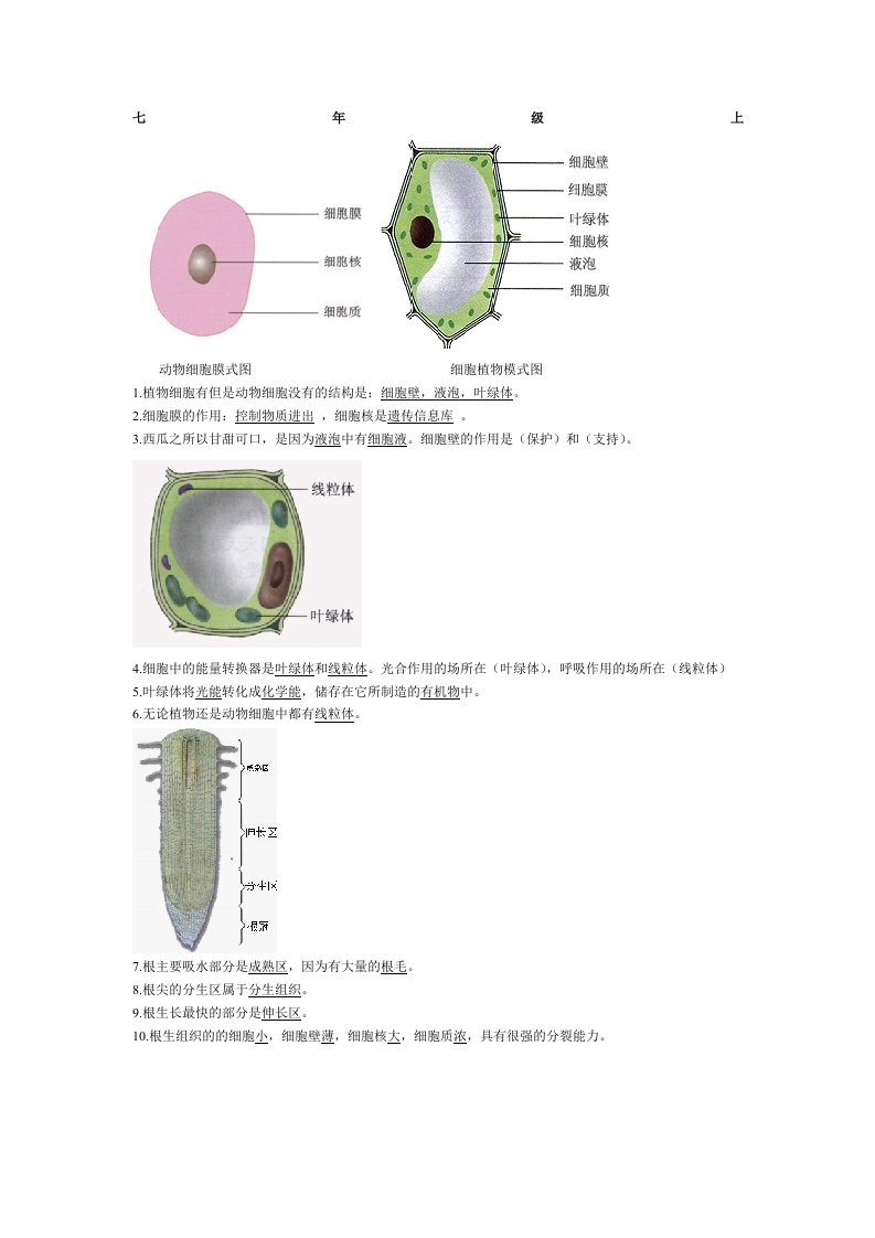 初中生物图集(附题目)