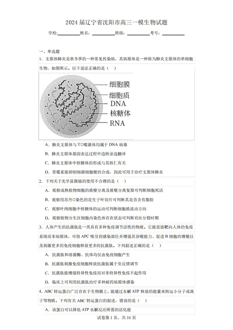 2024届辽宁省沈阳市高三一模生物试题(含答案解析)