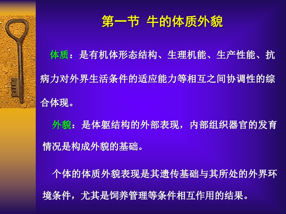 精选牛的体质外貌和生产力PPT51页