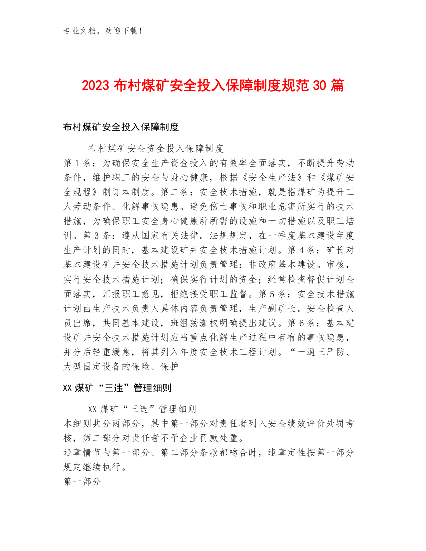 2023布村煤矿安全投入保障制度规范30篇