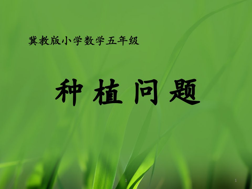 2016冀教版数学五年级上册第7单元《土地的面积》（种植问题）教学课件