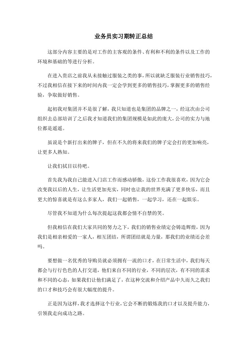 工作总结业务员实习期转正总结