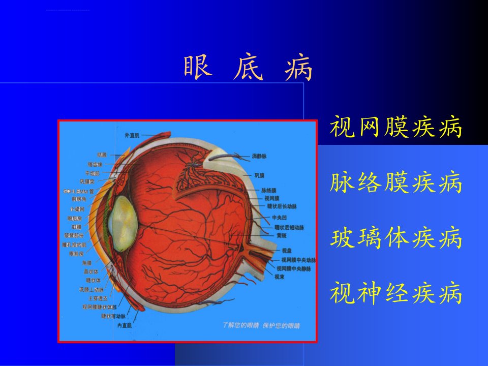 视网膜疾病课件医疗ppt