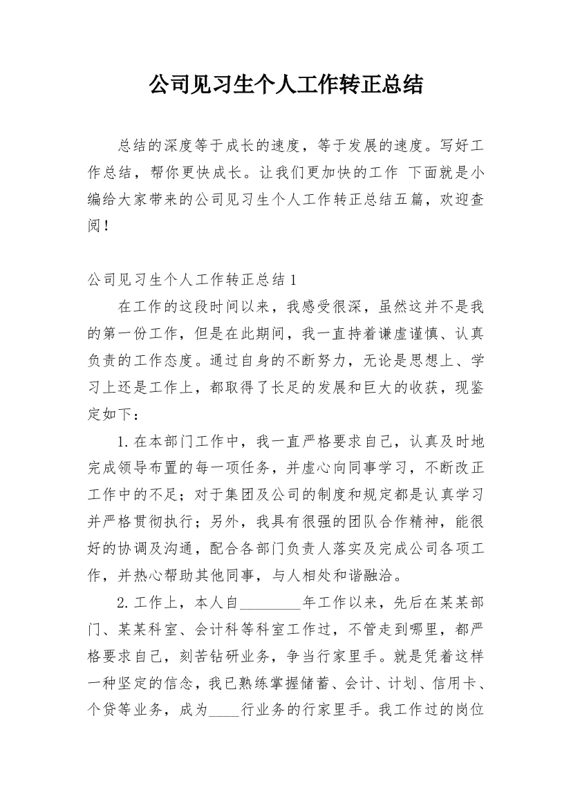 公司见习生个人工作转正总结