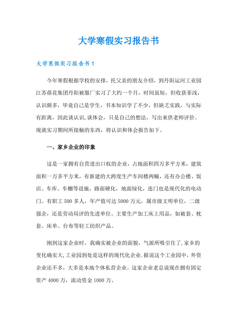 大学寒假实习报告书