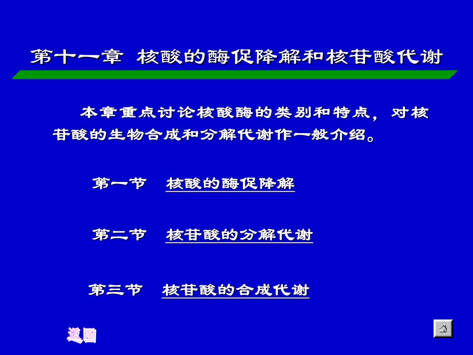 第十一章核酸的酶促降解和核苷酸代谢