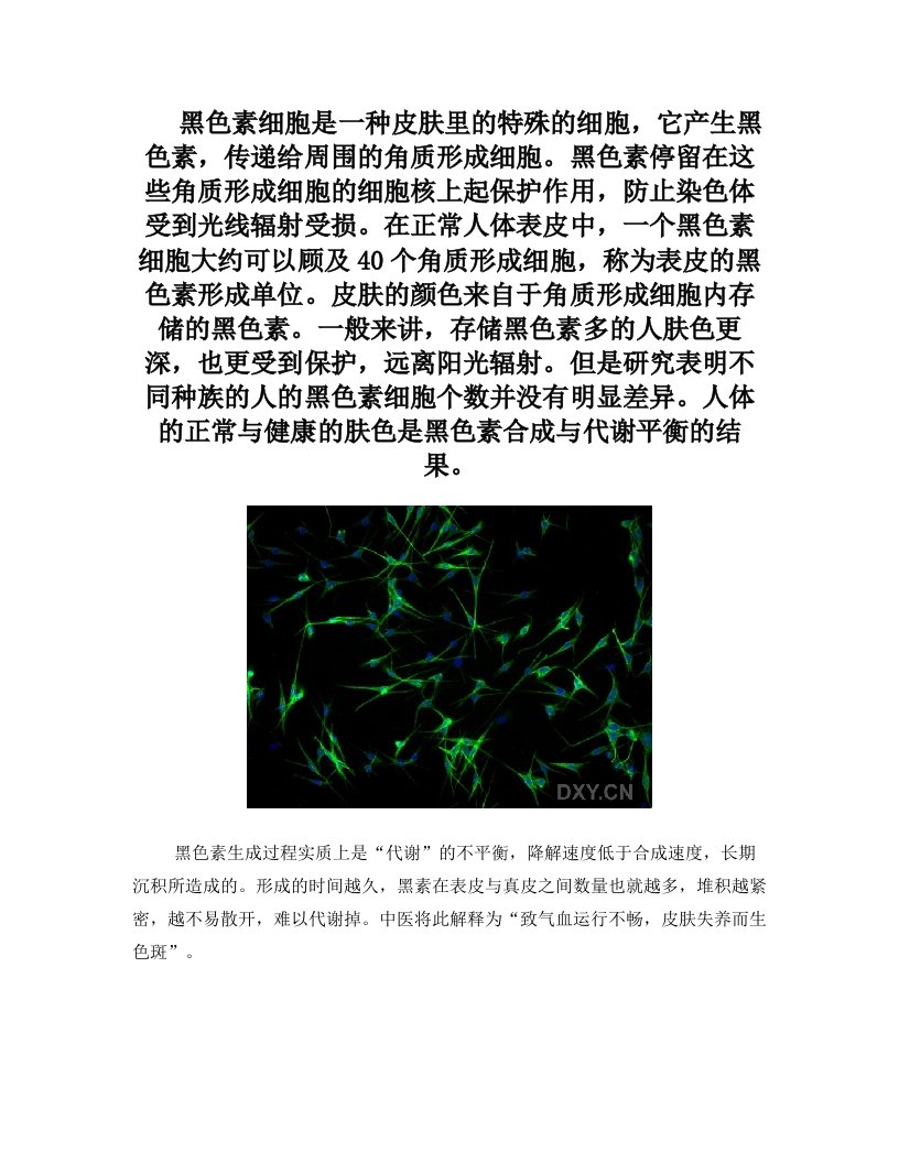 黑色素形成机理docx