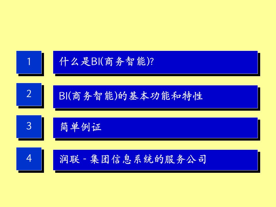 BI商务智能解决方案专业知识讲座