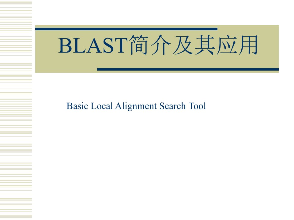 blast简介及其应用