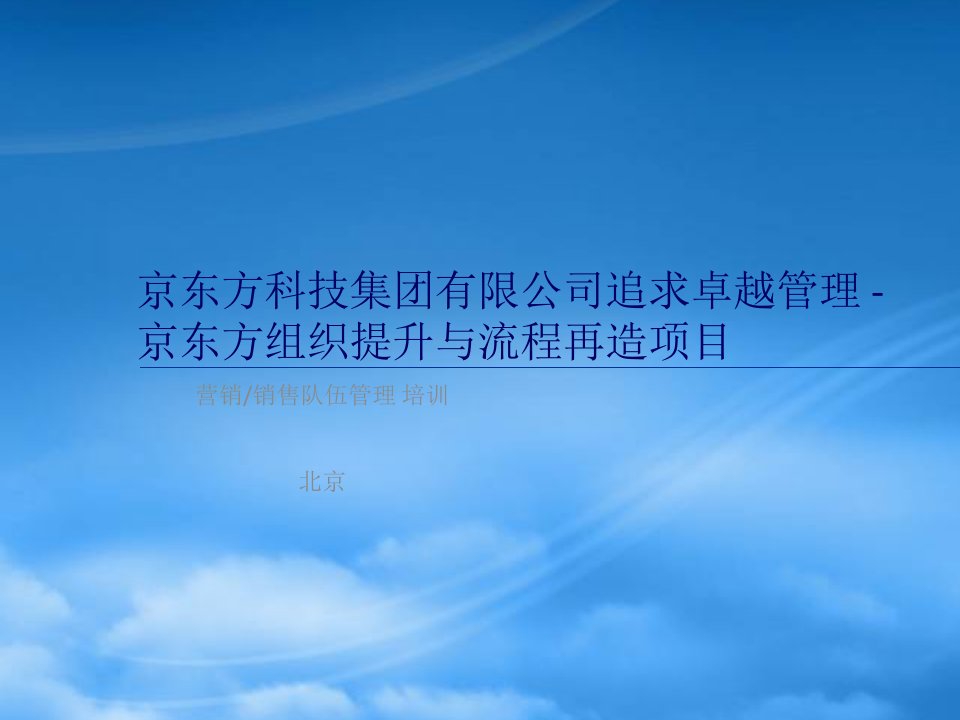 京东方组织提升与流程再造项目-营销销售队伍管理培训