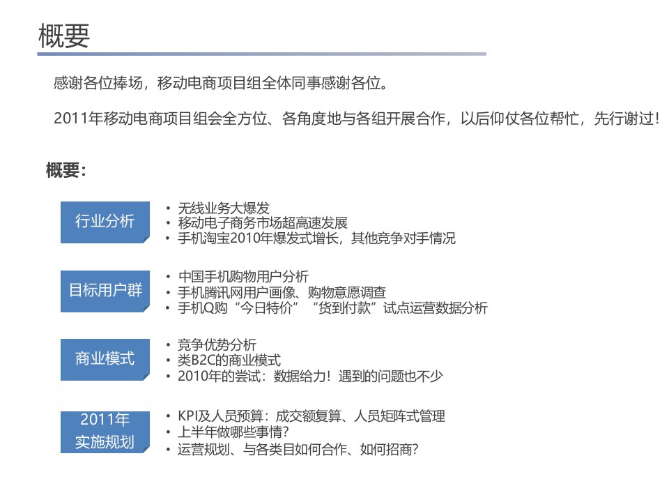 移动互联网电子商务平台项目规划