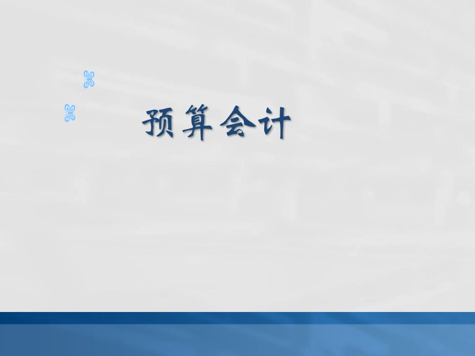 《预算会计基本理论》PPT课件