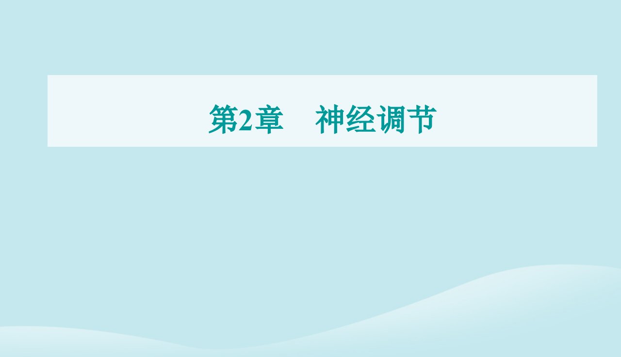 新教材2023高中生物第2章神经调节第2节神经调节的基本方式课件新人教版选择性必修1